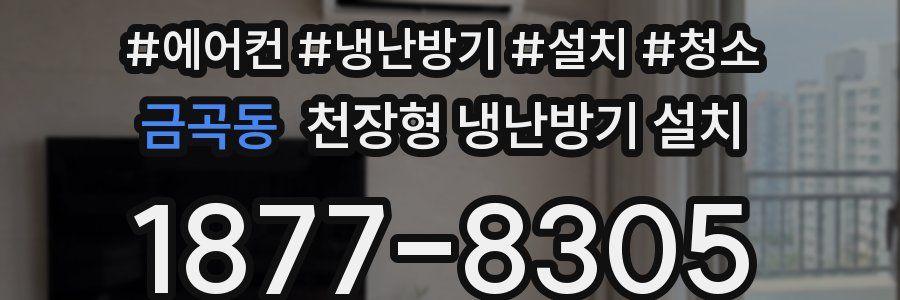 금곡동 천장형 냉난방기 설치