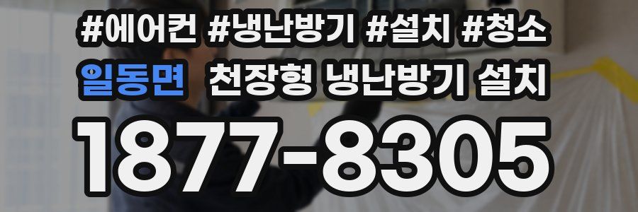 일동면 천장형 냉난방기 설치