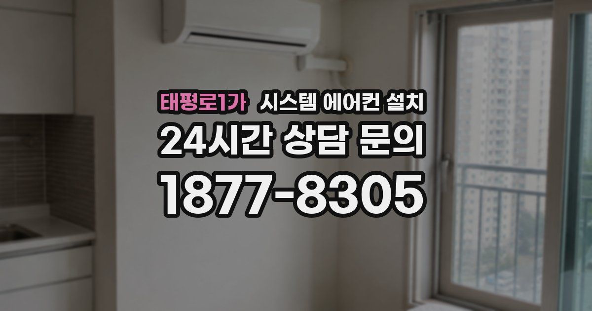 태평로1가 시스템 에어컨 설치