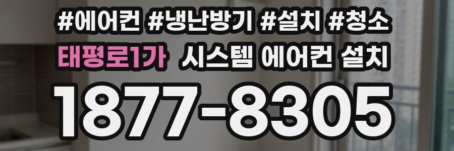 태평로1가 시스템 에어컨 설치