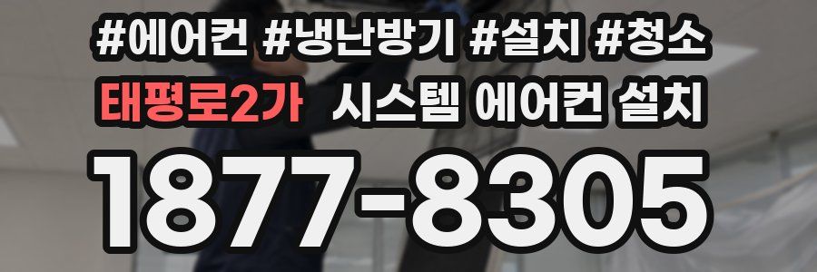 태평로2가 시스템 에어컨 설치