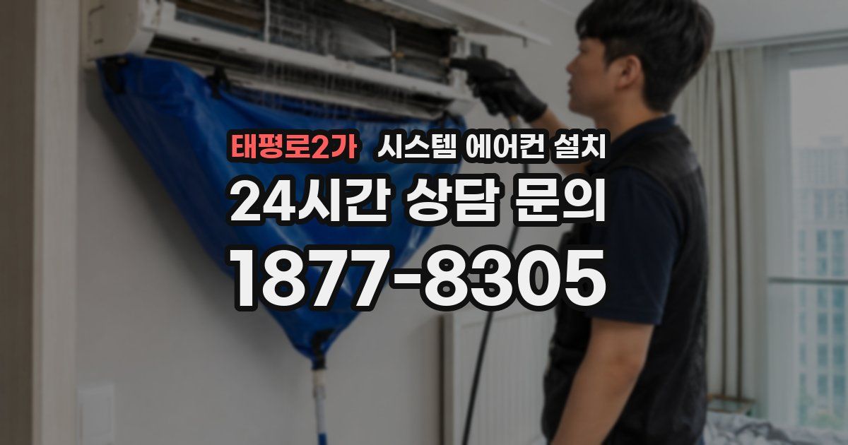 태평로2가 시스템 에어컨 설치