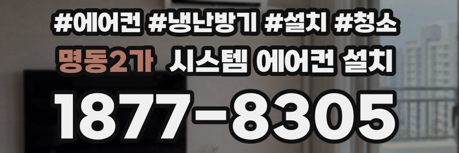 명동2가 시스템 에어컨 설치