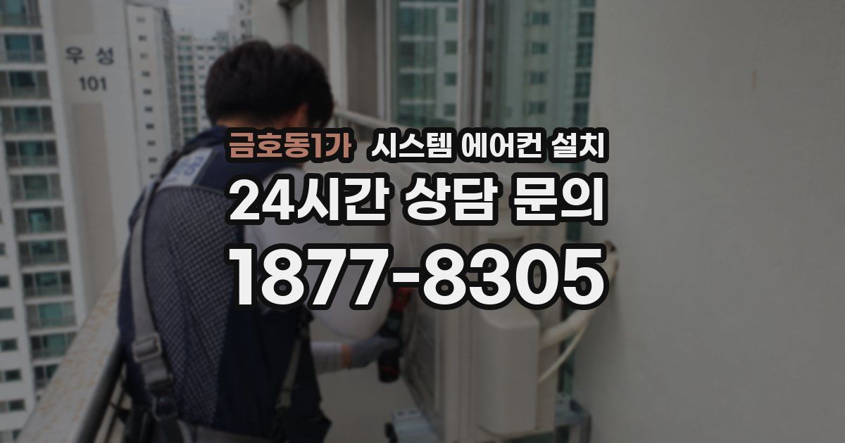 금호동1가 시스템 에어컨 설치