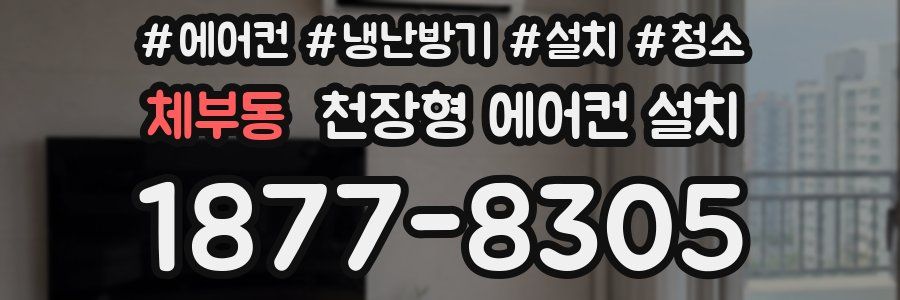 체부동 천장형 에어컨 설치