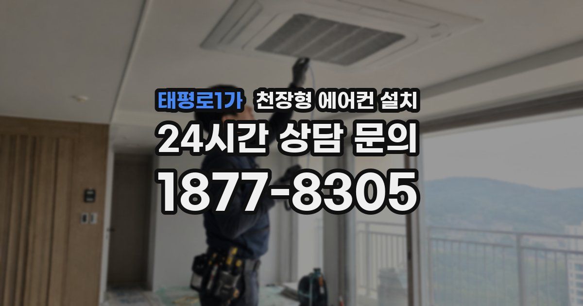 태평로1가 천장형 에어컨 설치