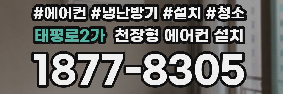 태평로2가 천장형 에어컨 설치