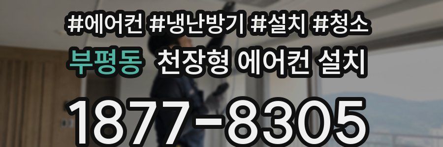 부평동 천장형 에어컨 설치