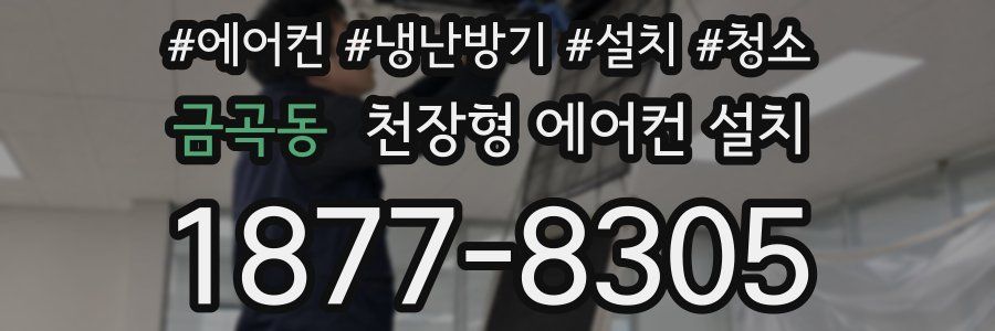 금곡동 천장형 에어컨 설치