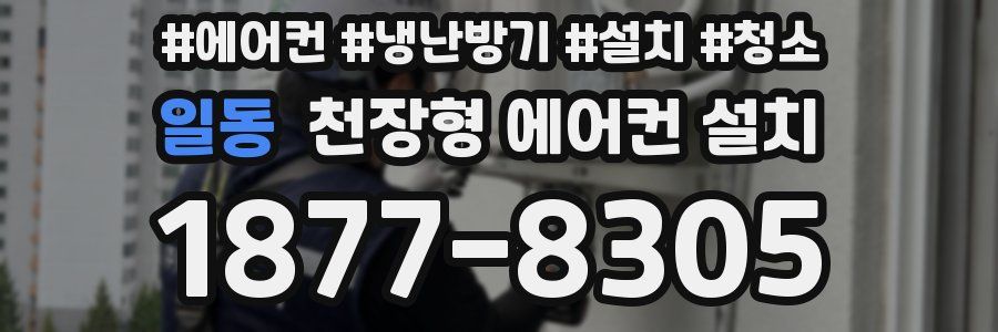 일동 천장형 에어컨 설치