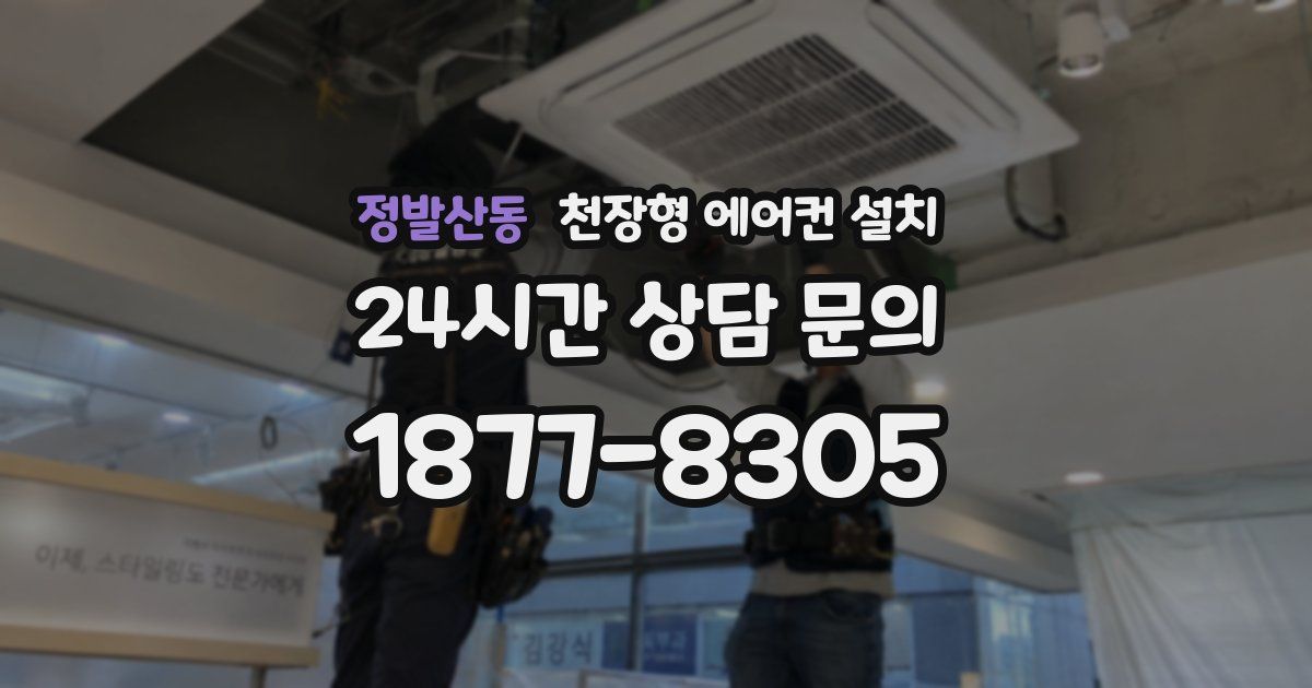 정발산동 천장형 에어컨 설치