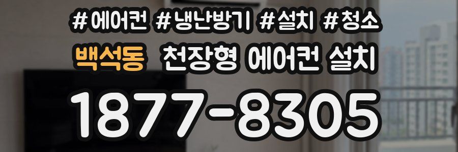 백석동 천장형 에어컨 설치