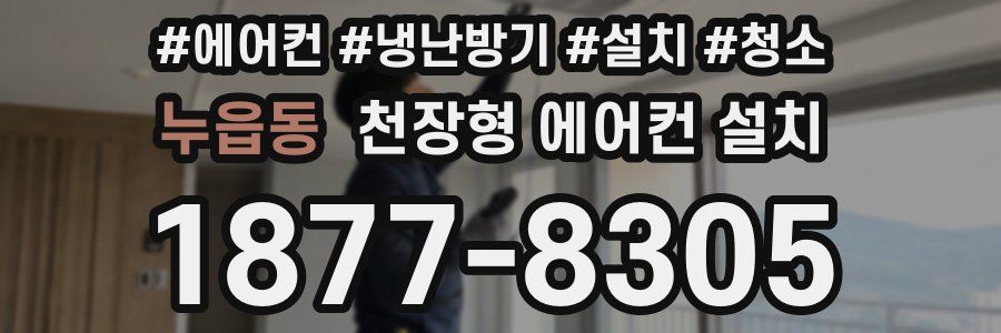 누읍동 천장형 에어컨 설치