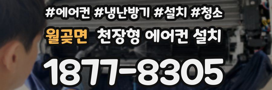 월곶면 천장형 에어컨 설치