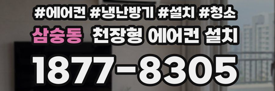 삼숭동 천장형 에어컨 설치