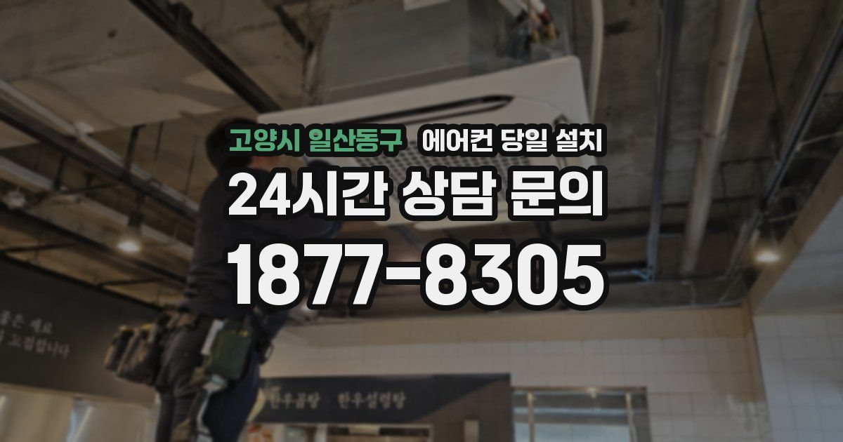 고양시 일산동구 에어컨 당일 설치