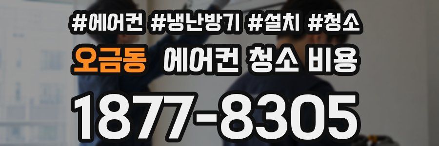 오금동 에어컨 청소 비용