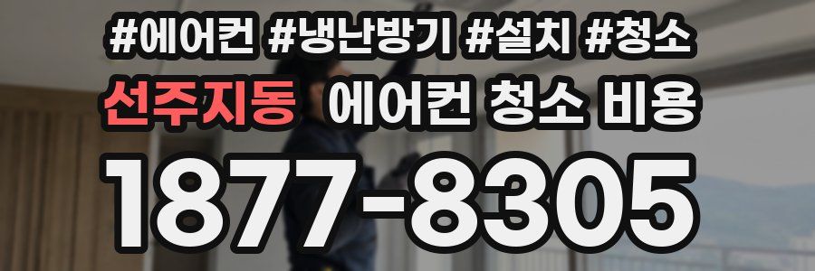 선주지동 에어컨 청소 비용