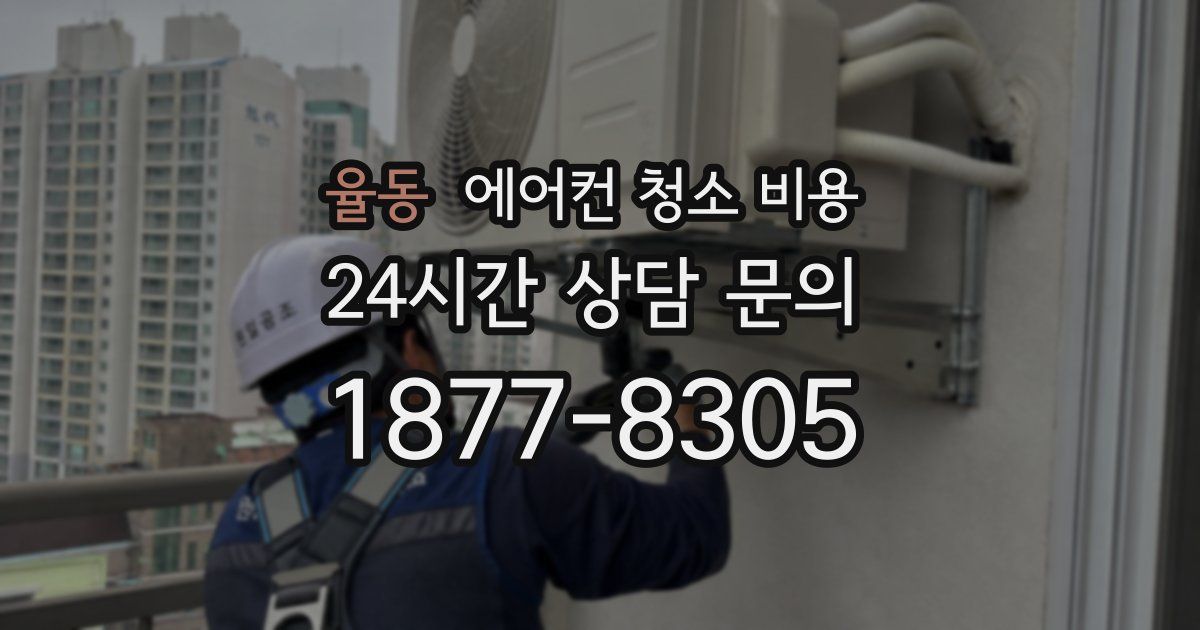 율동 에어컨 청소 비용