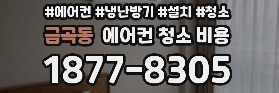금곡동 에어컨 청소 비용