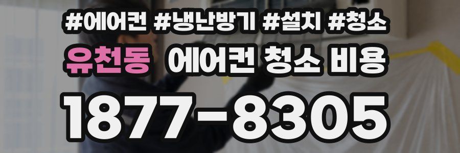 유천동 에어컨 청소 비용