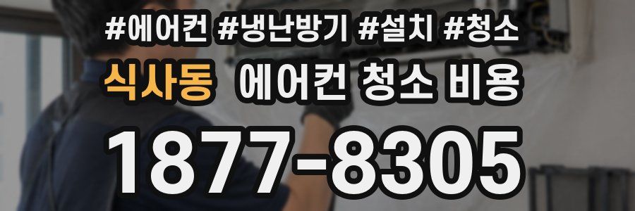 식사동 에어컨 청소 비용