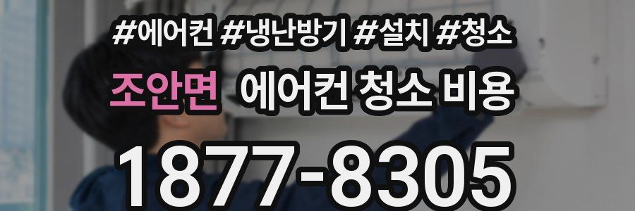 조안면 에어컨 청소 비용