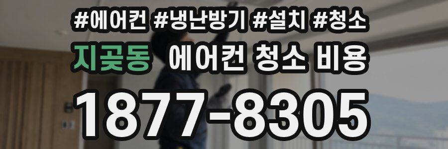 지곶동 에어컨 청소 비용