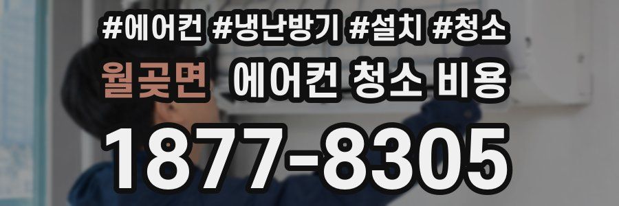 월곶면 에어컨 청소 비용