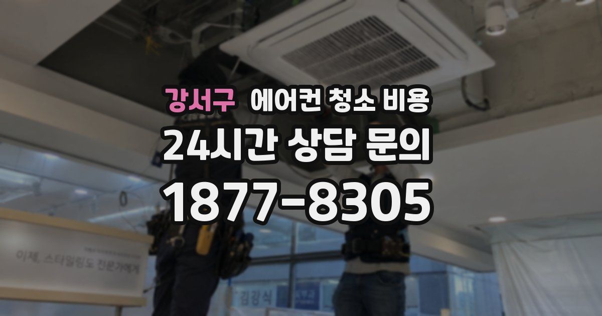 강서구 에어컨 청소 비용