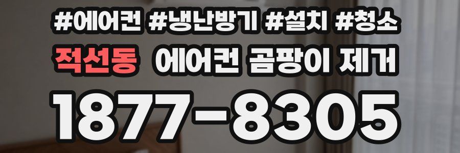 적선동 에어컨 곰팡이 제거