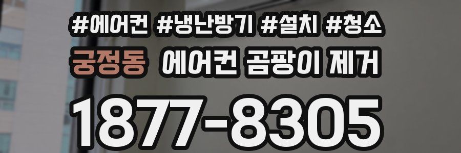 궁정동 에어컨 곰팡이 제거