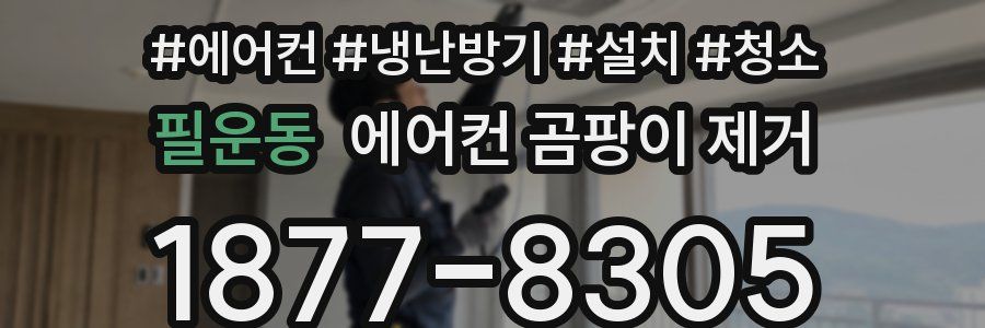 필운동 에어컨 곰팡이 제거