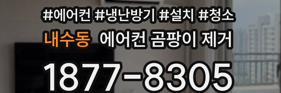내수동 에어컨 곰팡이 제거