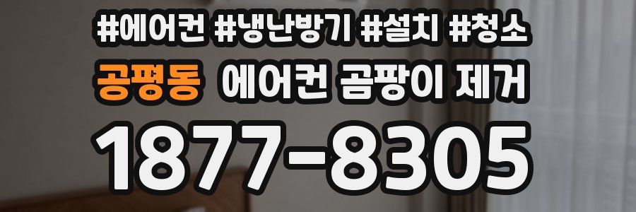 공평동 에어컨 곰팡이 제거