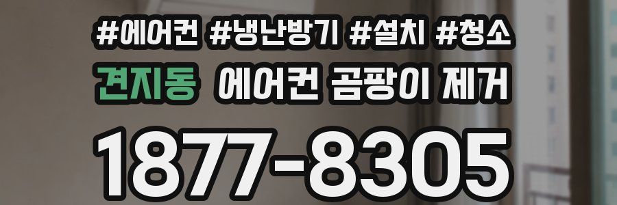 견지동 에어컨 곰팡이 제거