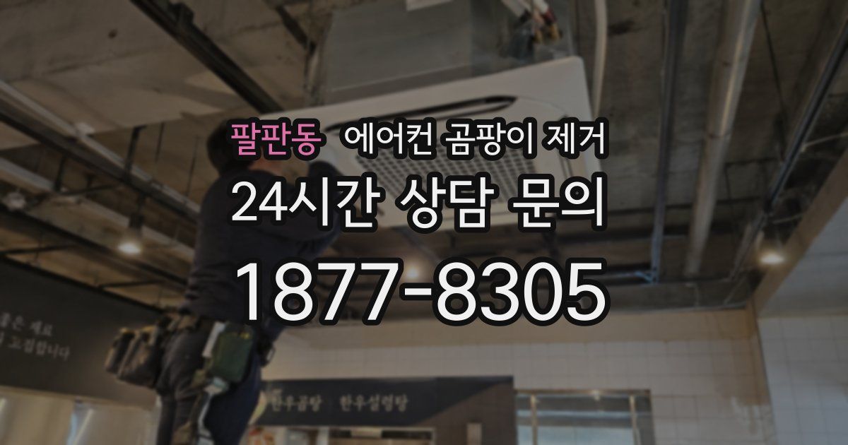 팔판동 에어컨 곰팡이 제거