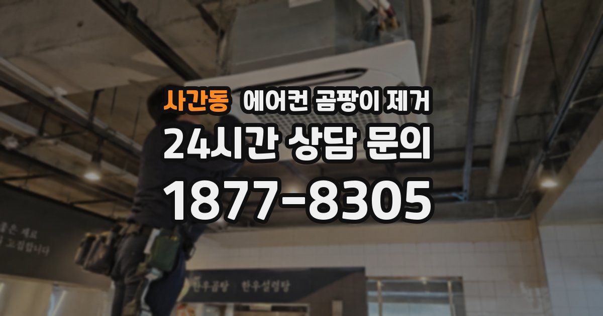 사간동 에어컨 곰팡이 제거