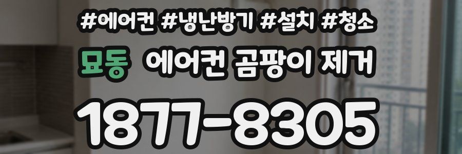 묘동 에어컨 곰팡이 제거