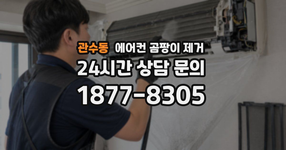 관수동 에어컨 곰팡이 제거
