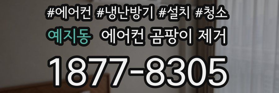 예지동 에어컨 곰팡이 제거
