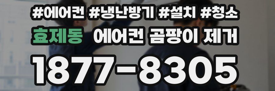효제동 에어컨 곰팡이 제거