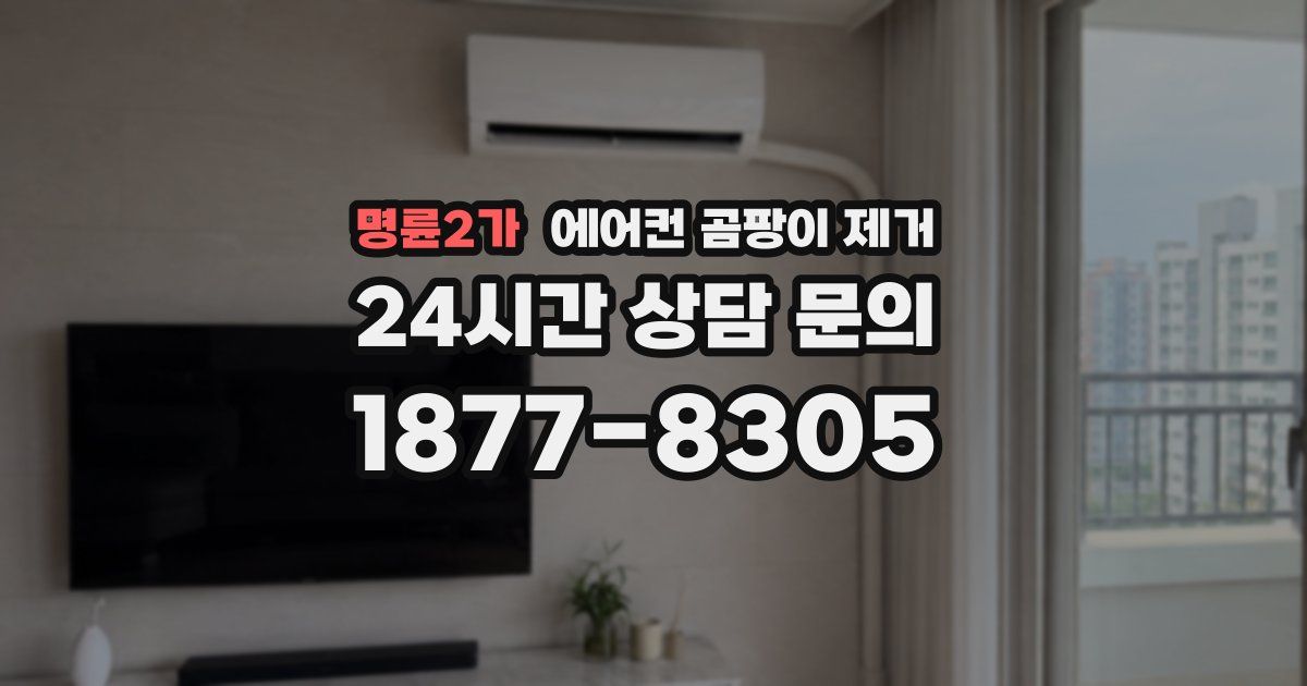 명륜2가 에어컨 곰팡이 제거