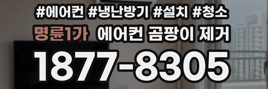 명륜1가 에어컨 곰팡이 제거