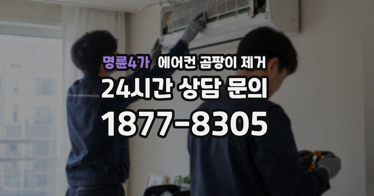 명륜4가 에어컨 곰팡이 제거
