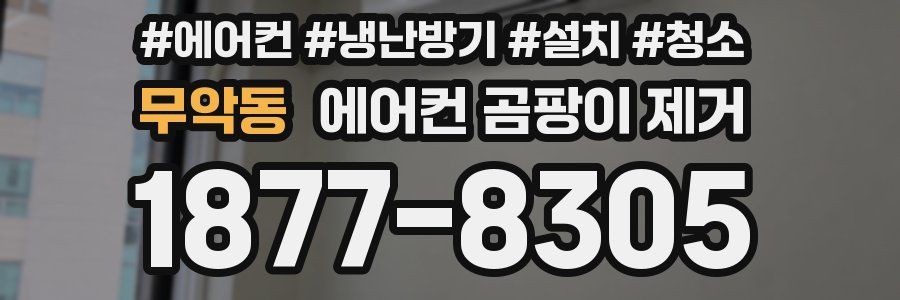 무악동 에어컨 곰팡이 제거