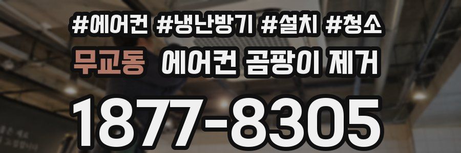 무교동 에어컨 곰팡이 제거