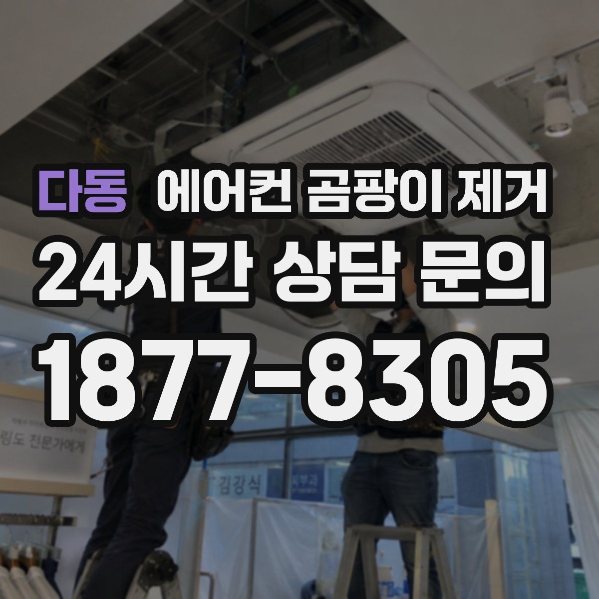 다동 에어컨 곰팡이 제거