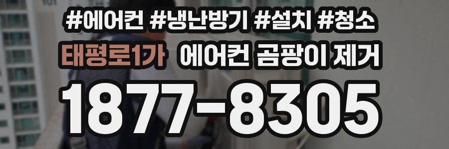 태평로1가 에어컨 곰팡이 제거