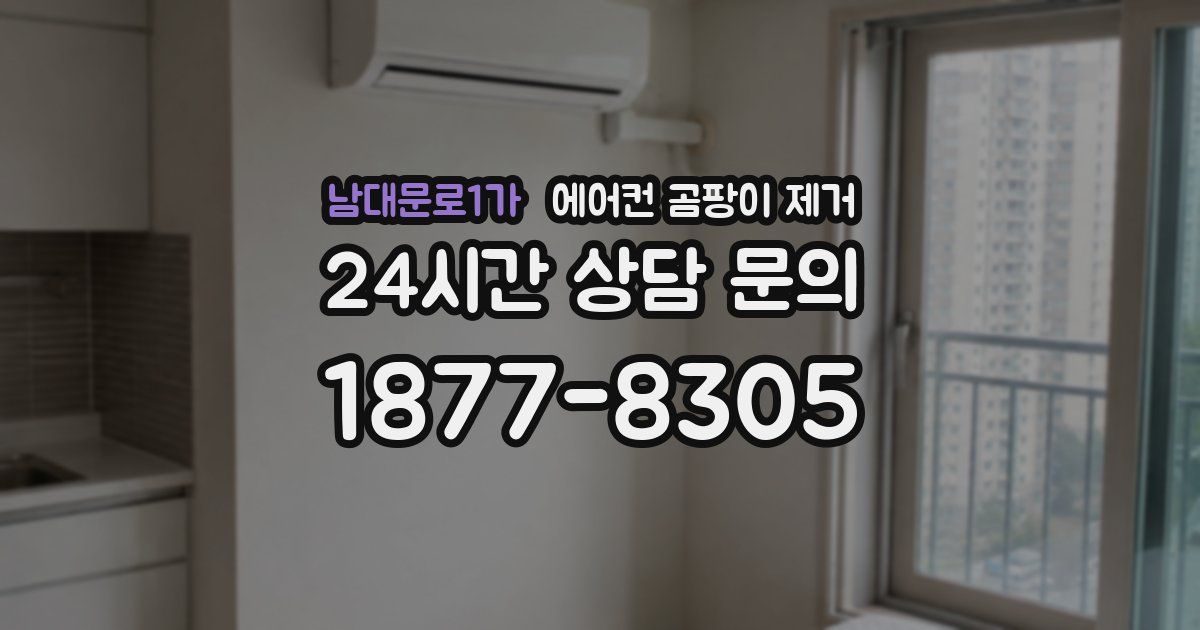 남대문로1가 에어컨 곰팡이 제거